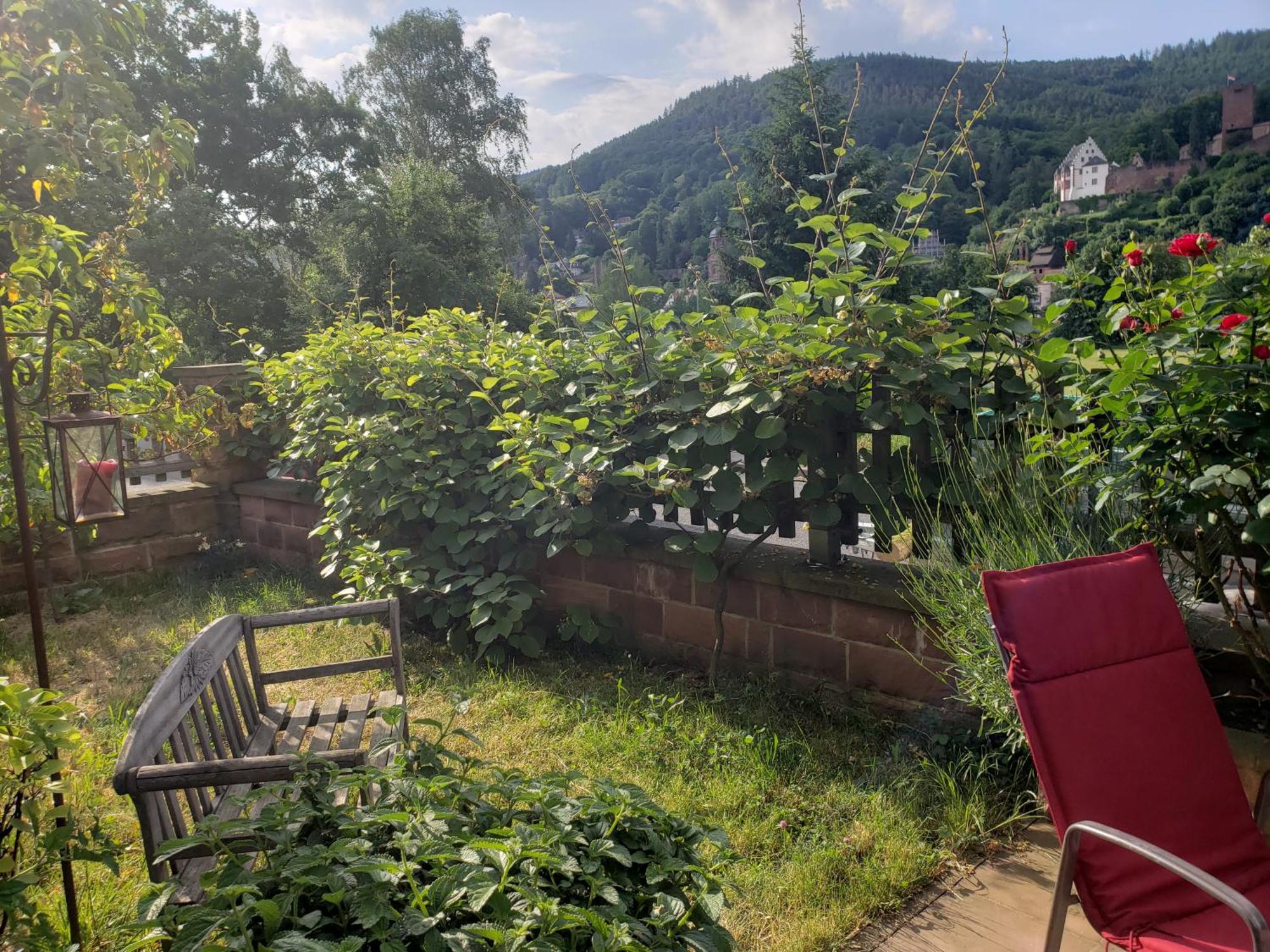 Panorama-Blick Miltenberg, 3 Pers., Zentr., Am Main, Terrasse, Bootverleih, P 외부 사진