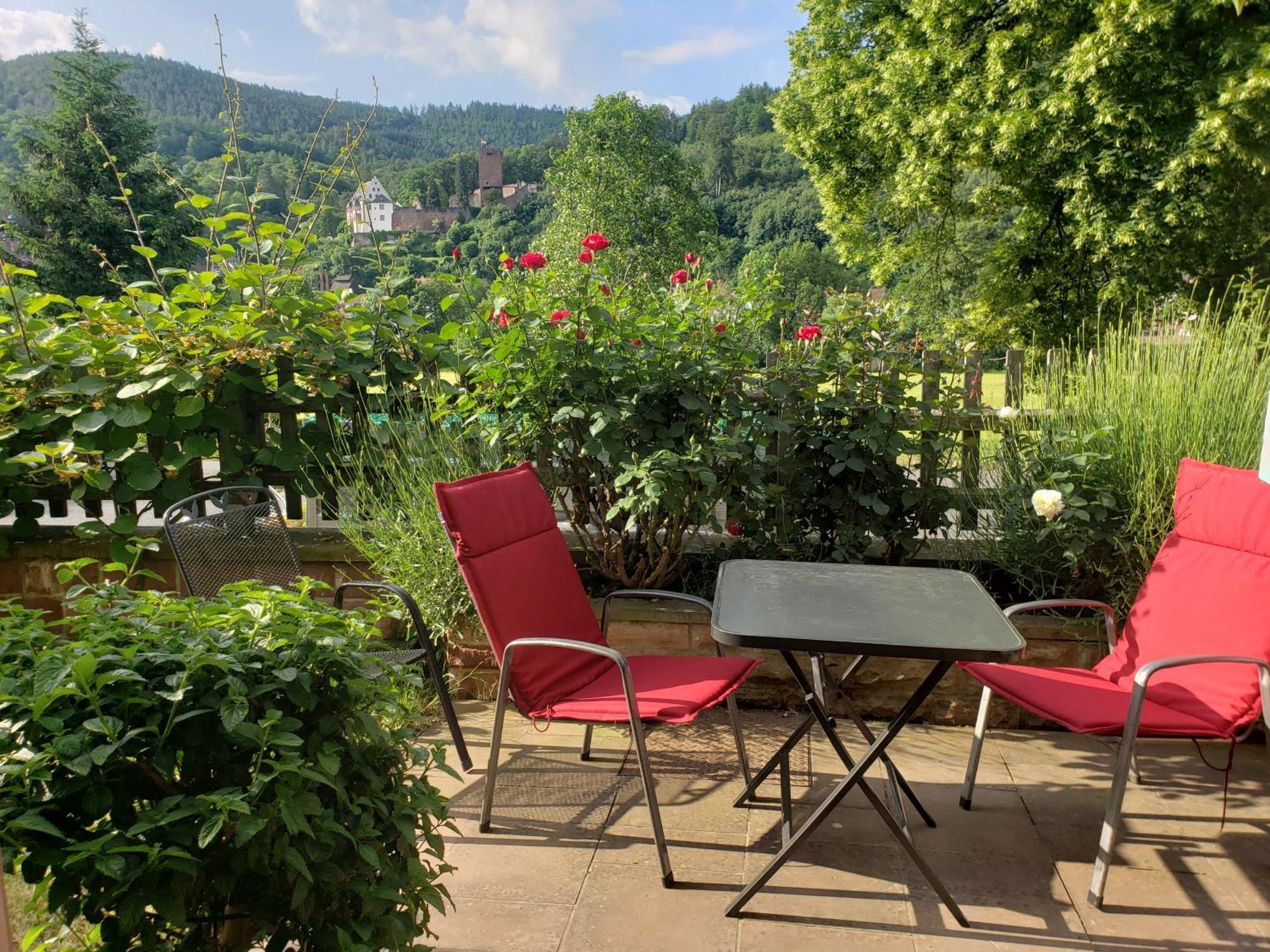 Panorama-Blick Miltenberg, 3 Pers., Zentr., Am Main, Terrasse, Bootverleih, P 외부 사진