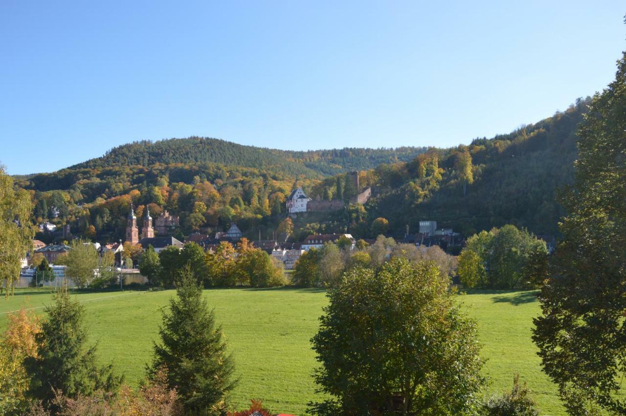 Panorama-Blick Miltenberg, 3 Pers., Zentr., Am Main, Terrasse, Bootverleih, P 외부 사진
