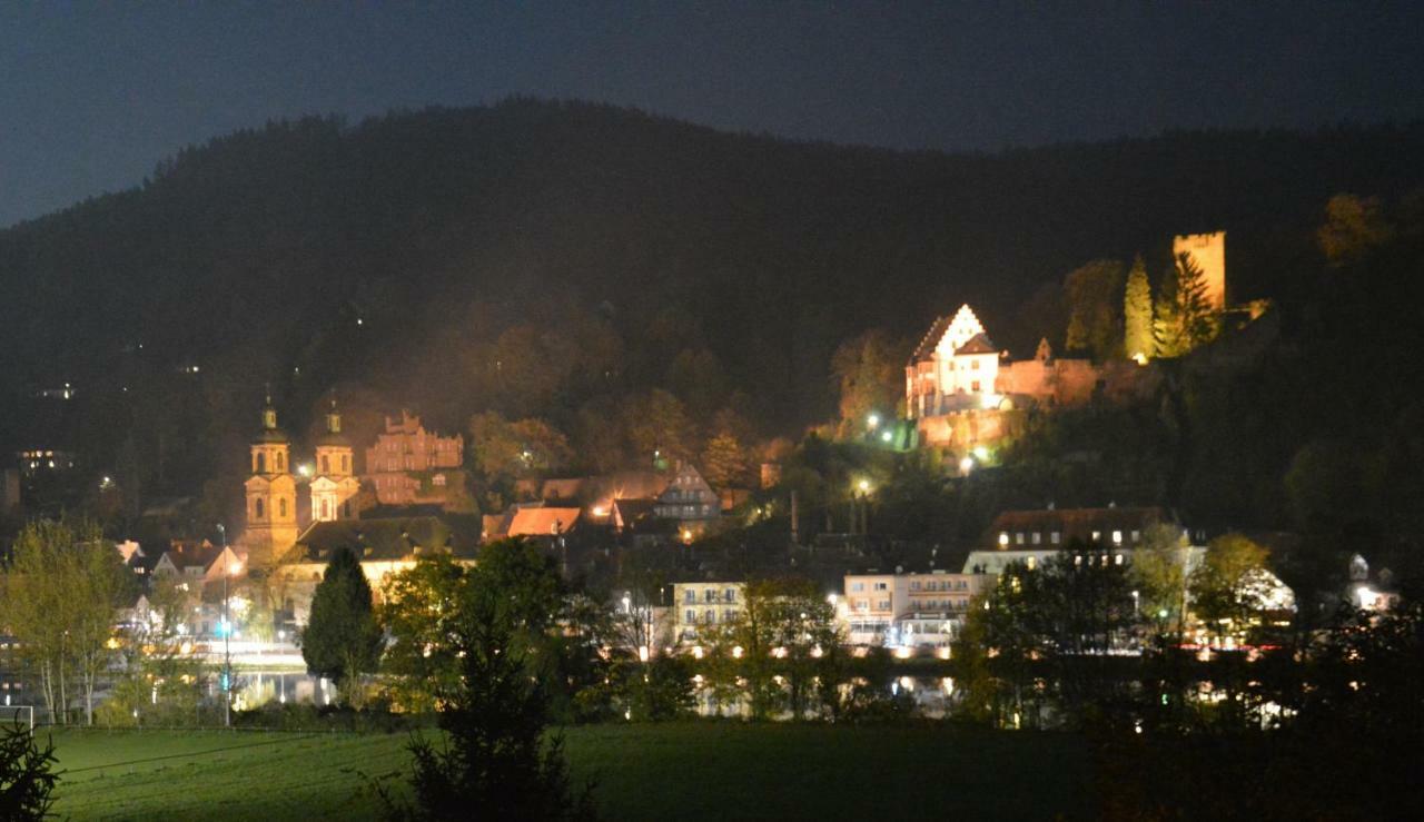 Panorama-Blick Miltenberg, 3 Pers., Zentr., Am Main, Terrasse, Bootverleih, P 외부 사진