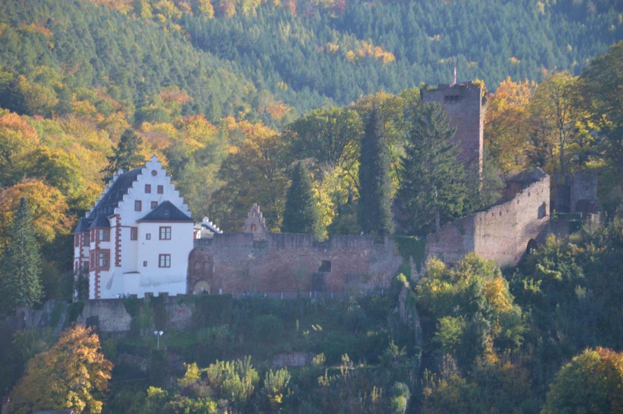 Panorama-Blick Miltenberg, 3 Pers., Zentr., Am Main, Terrasse, Bootverleih, P 아파트 외부 사진