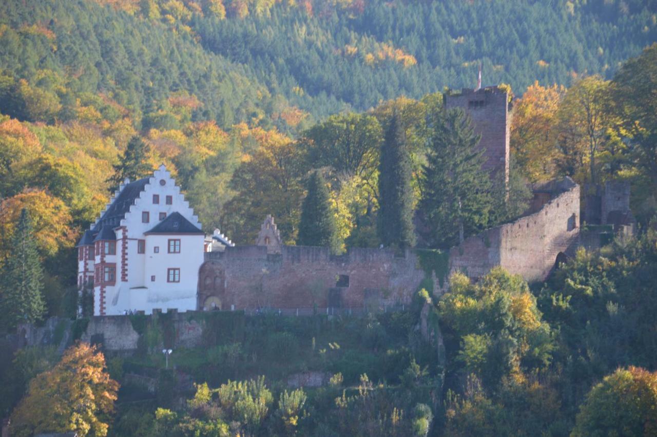 Panorama-Blick Miltenberg, 3 Pers., Zentr., Am Main, Terrasse, Bootverleih, P 외부 사진