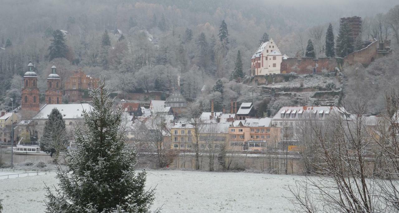 Panorama-Blick Miltenberg, 3 Pers., Zentr., Am Main, Terrasse, Bootverleih, P 외부 사진