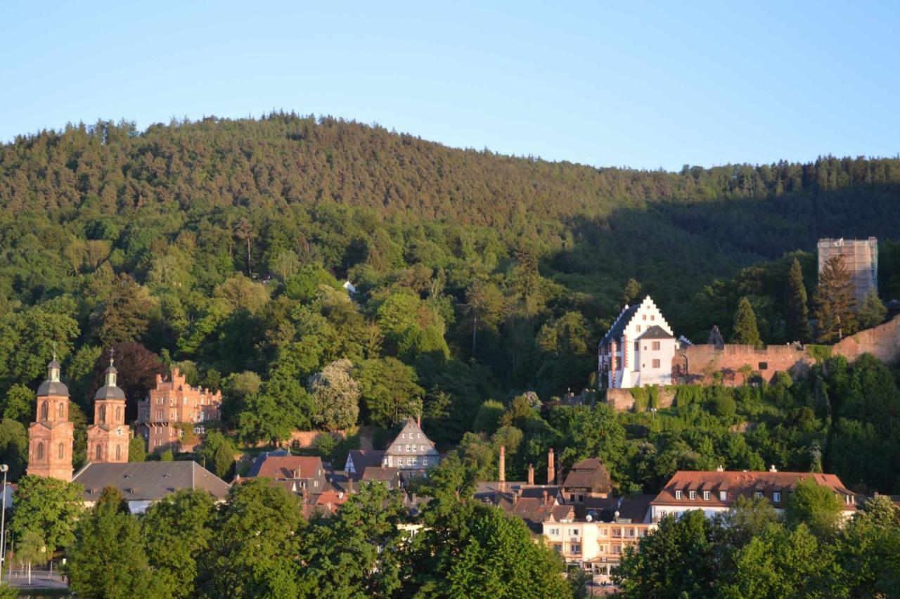 Panorama-Blick Miltenberg, 3 Pers., Zentr., Am Main, Terrasse, Bootverleih, P 외부 사진
