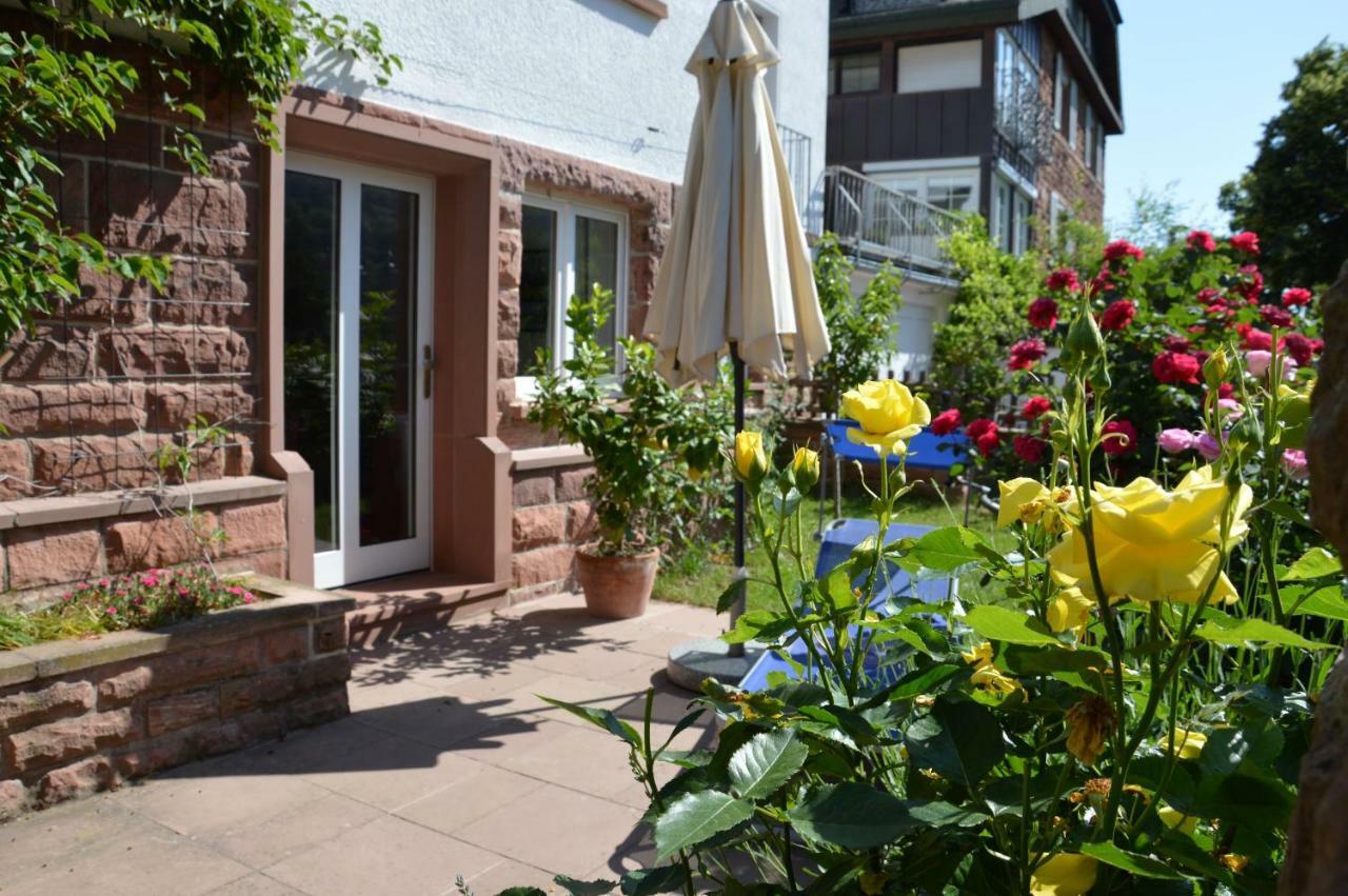 Panorama-Blick Miltenberg, 3 Pers., Zentr., Am Main, Terrasse, Bootverleih, P 외부 사진